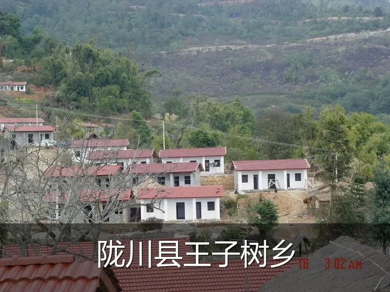 陇川县王子树乡