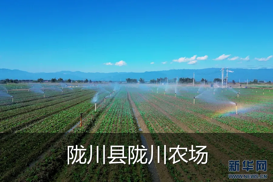 陇川县陇川农场